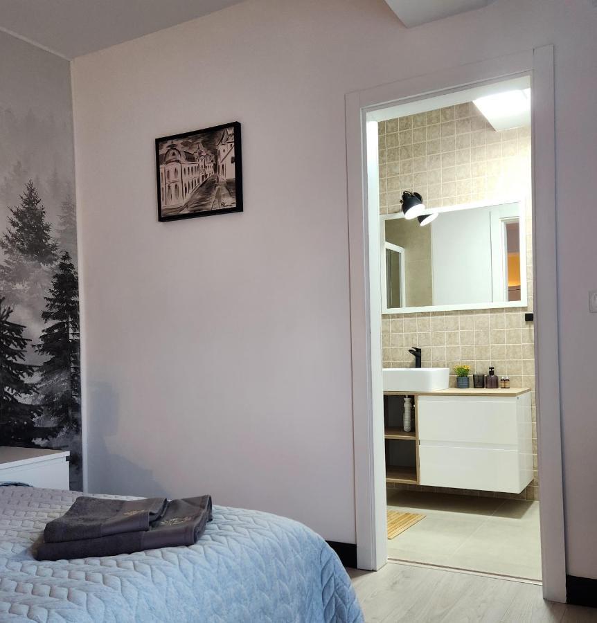 My Room Accommodation Curtea de Argeş Buitenkant foto