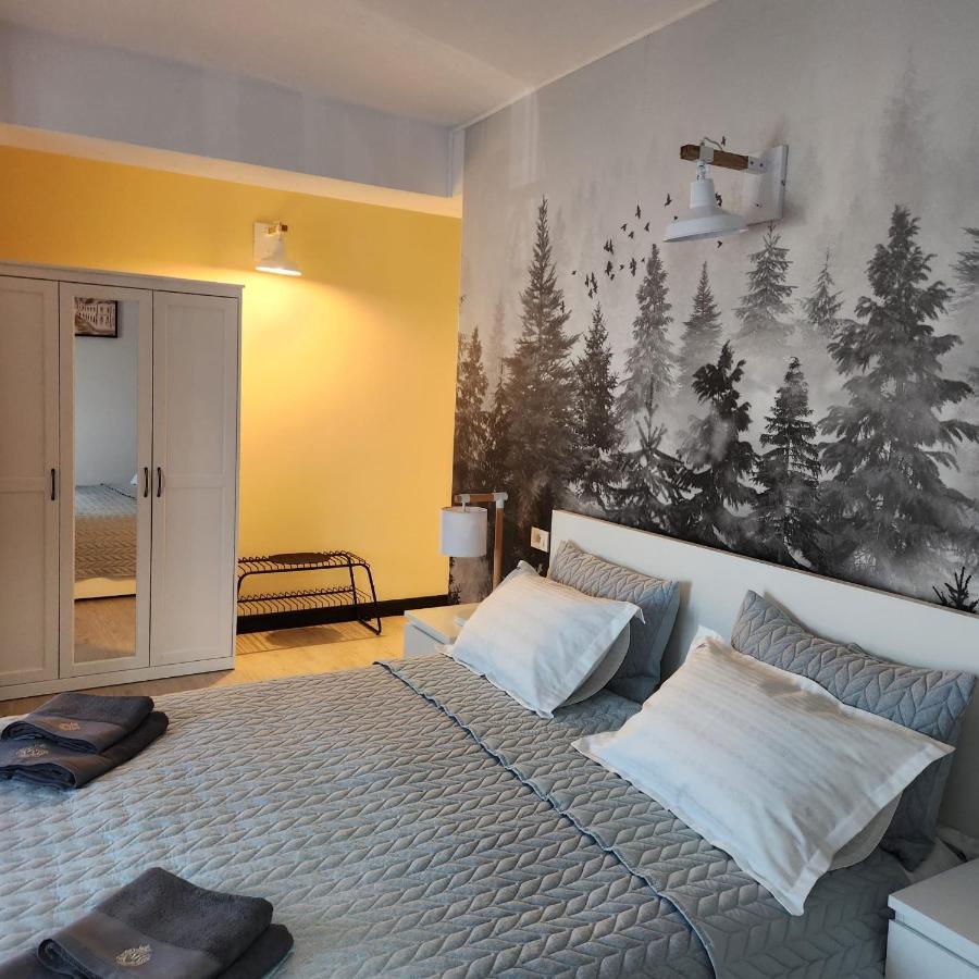 My Room Accommodation Curtea de Argeş Buitenkant foto